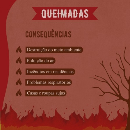 Queimadas – Sugestões e propostas do movimento Panema Livre