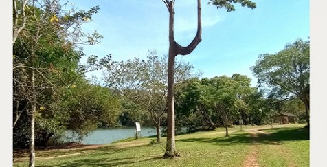 Conselho do Meio Ambiente convoca reunião para debater ações da Floresta das Corredeiras
