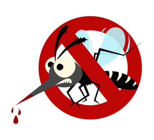 Combate à Dengue: Responsabilidade Coletiva protege a Comunidade.  Artigo do Colégio Lumen Objetivo