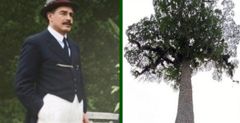 Ataliba Leonel, história e memória