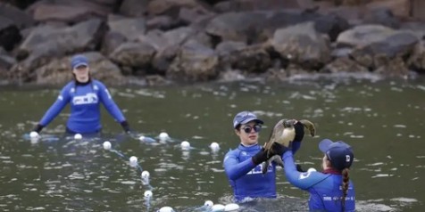 Estudo acha microplástico em 93% de amostra de peixes no litoral do PR