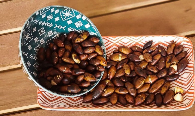 Dia Nacional do Cerrado trará eventos online e concurso de receitas com foco no baru, Confira.