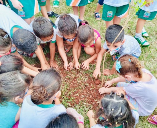 Dia da Árvore: Timburi realiza atividades com os alunos da rede municipal fundamental e infantil