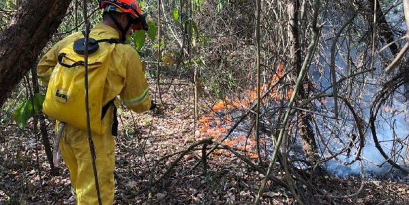Defesa Civil alerta para risco de incêndio por conta das altas temperaturas no estado
