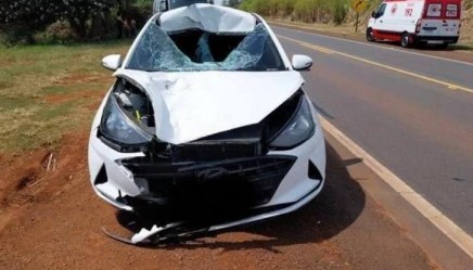 Acidente na Rodovia João Mellão: mulher morre ao tentar atravessar a pista