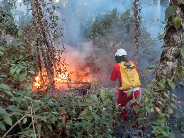 Governo de São Paulo promove campanha de conscientização para prevenir incêndios florestais