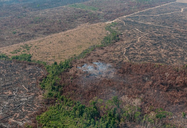 Memória- Em 2019, Leite cortou ou alterou quase 500 pontos do Código Ambiental do RS(Brasil de Fato)