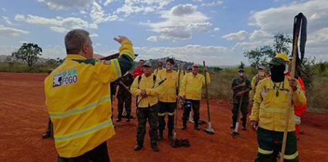 Fundação Florestal de SP abre seletivo com  243 vagas para brigadistas com salários de até R$ 4 mil