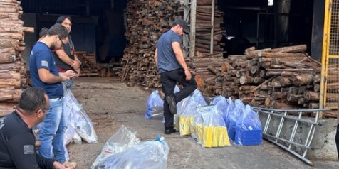 Polícia Civil incinera mais de 220 quilos de drogas apreendidas em Avaré e região