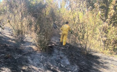 Bombeiros controlam incêndio em vegetação com ação direta e uso de abafadores em Botucatu