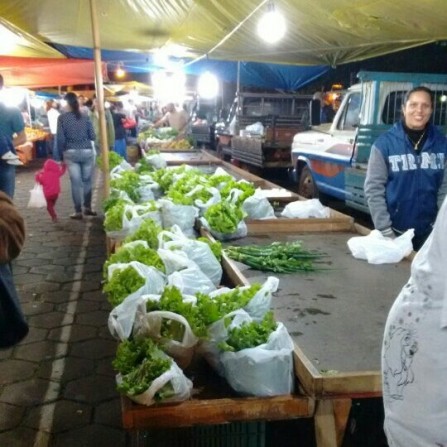 Feira da Lua pode funcionar até 21 e consumo de alimentos pode ser no local com regras