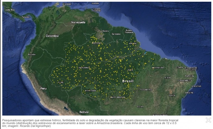 Laser mapeia clareiras na Amazônia e auxilia estudos sobre mortalidade das árvores