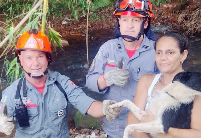 CACHORRA É RESGATADA PELO CORPO DE BOMBEIROS