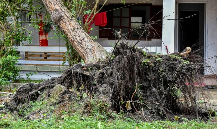 Especialista explica influência da ação humana nos extremos climáticos