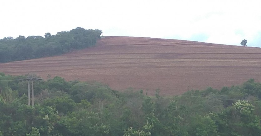 Polícia Ambiental lavra multa de 186 mil por degradação da flora no Pavão em Tejupá