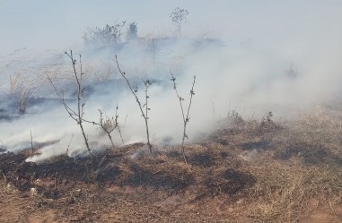 Defesa Civil de Timburi: resposta imediata após incêndio evita acidentes em rodovia