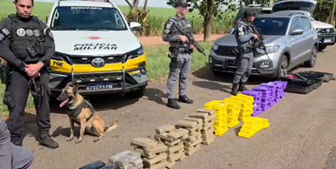TOR apreende 140 kg de maconha em Ourinhos e mulher é presa
