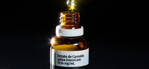 Anvisa aprova cultivo de cannabis por empresas e amplia acesso